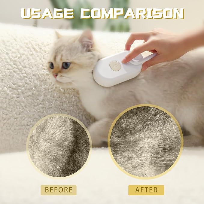 Steam Brush with Steamer