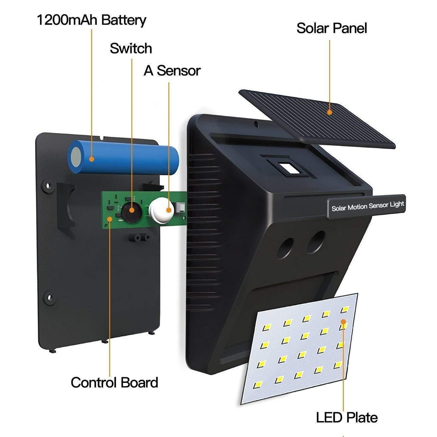 Security Light