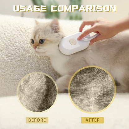 Steam Brush with Steamer
